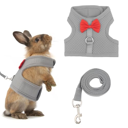 Hasengeschirr mit Leine, süße, graue, verstellbare Netzweste für Hasen, Frettchen, kleine Schweine und Eichhörnchen, Hasenleinenweste aus Netz zum Spazierengehen für 2,5–4,5 kg schwere Hasen von Pretwad