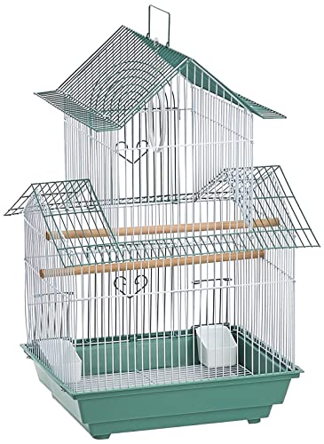 Prevue Hendryx SP1720-4 Shanghai Sittichkäfig, Grün/Weiß Prevue Hendryx SP1720-4 Shanghai Sittichkäfig, Grün/Weiß von Prevue Pet Products