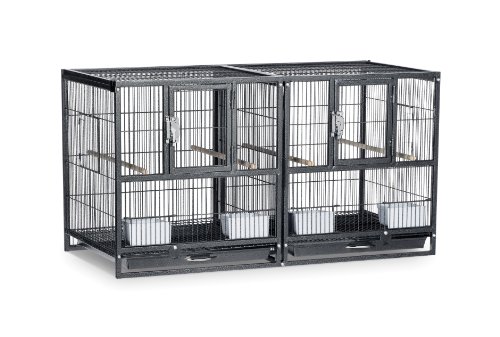 Prevue Pet Products F075 Hampton Deluxe Züchterkäfig, geteilt, Schwarz, Hammerton, 37,5 x 18 x 20,5 H von Prevue Hendryx