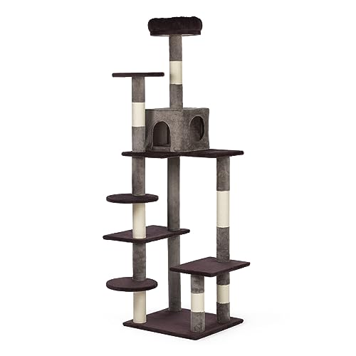 Prevue Pet Products Katzenspielturm in Lila 7362P von Prevue Hendryx