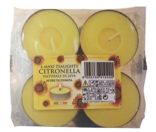 Maxi-Teelichter, Citronella, 10 Stunden, 4 Stück von Price's