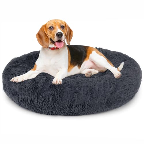 Priksia Hundebett Katzenbett Rund Hundekissen Flauschig Katzenkissen Weich katzenkorb Waschbar Donut Plüsch Hundebett für Mittlere und Große Hunde Katzen 70cm Dunkelgrau von Priksia