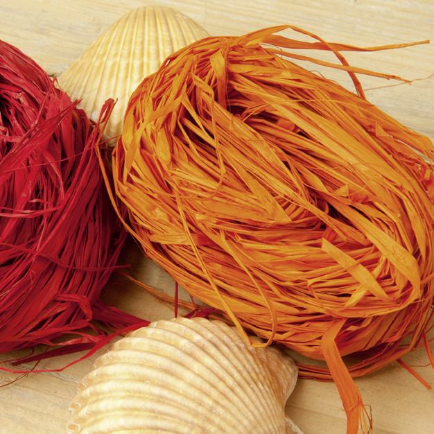 Bast rot 20 g Bast rot 20 g von Prima Flora