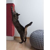 Primaflor-Ideen in Textil Kratzbrett "Katzen-Kratzmatte SISALLUX, Made in Netherlands" Kratzteppich, Sisal, in verschiedenen Größen, vielseitig einsetzbar Primaflor-Ideen in Textil Kratzbrett "Katzen-Kratzmatte SISALLUX, Made in Netherlands" Kratzteppich, Sisal, in verschiedenen Größen, vielseitig einsetzbar von Primaflor-Ideen In Textil