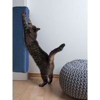 Primaflor-Ideen in Textil Kratzbrett "Katzen-Kratzmatte SISALLUX, Made in Netherlands" Kratzteppich, Sisal, in verschiedenen Größen, vielseitig einsetzbar von Primaflor-Ideen In Textil