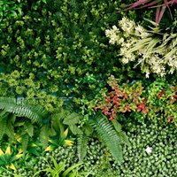 Primaflor-Ideen in Textil Kunstpflanze "Kunstpflanze Pflanzenwand 100x100" Wanddeko, realistische Optik, In- und Outdoor geeignet, UV-beständig Primaflor-Ideen in Textil Kunstpflanze "Kunstpflanze Pflanzenwand 100x100" Wanddeko, realistische Optik, In- und Outdoor geeignet, UV-beständig von Primaflor-Ideen In Textil