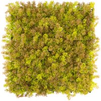 Primaflor-Ideen in Textil Kunstpflanze "Pflanzenwand, 50x50cm" Wanddeko, realistische Optik, In- und Outdoor geeignet, UV-beständig Primaflor-Ideen in Textil Kunstpflanze "Pflanzenwand, 50x50cm" Wanddeko, realistische Optik, In- und Outdoor geeignet, UV-beständig von Primaflor-Ideen In Textil