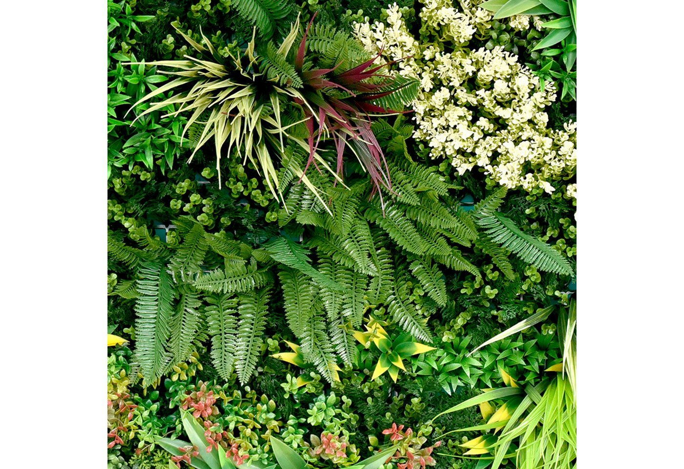 Kunstpflanze Kunstpflanze Pflanzenwand 100x100, Primaflor-Ideen in Textil, Wanddeko, realistische Optik, In- und Outdoor geeignet, UV-beständig Kunstpflanze Kunstpflanze Pflanzenwand 100x100, Primaflor-Ideen in Textil, Wanddeko, realistische Optik, In- und Outdoor geeignet, UV-beständig von Primaflor-Ideen in Textil