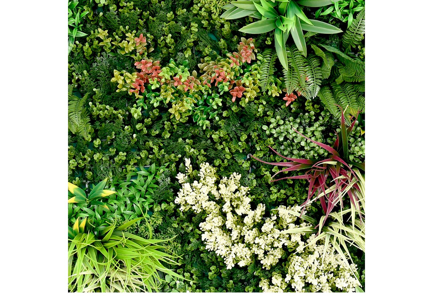 Kunstpflanze Kunstpflanze Pflanzenwand 100x100, Primaflor-Ideen in Textil, Wanddeko, realistische Optik, In- und Outdoor geeignet, UV-beständig Kunstpflanze Kunstpflanze Pflanzenwand 100x100, Primaflor-Ideen in Textil, Wanddeko, realistische Optik, In- und Outdoor geeignet, UV-beständig von Primaflor-Ideen in Textil