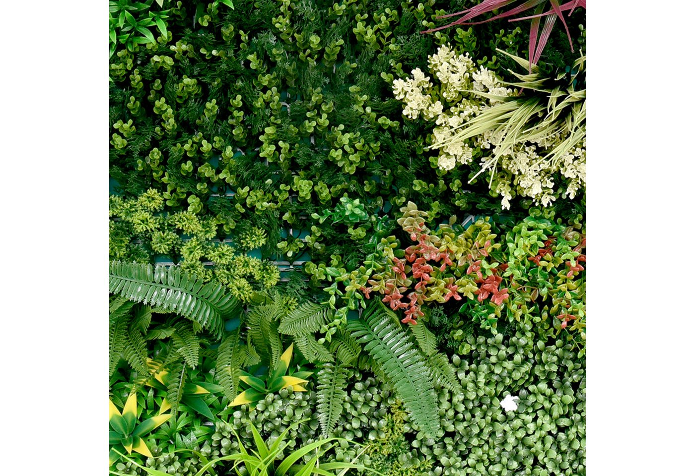 Kunstpflanze Kunstpflanze Pflanzenwand 100x100, Primaflor-Ideen in Textil, Wanddeko, realistische Optik, In- und Outdoor geeignet, UV-beständig Kunstpflanze Kunstpflanze Pflanzenwand 100x100, Primaflor-Ideen in Textil, Wanddeko, realistische Optik, In- und Outdoor geeignet, UV-beständig von Primaflor-Ideen in Textil