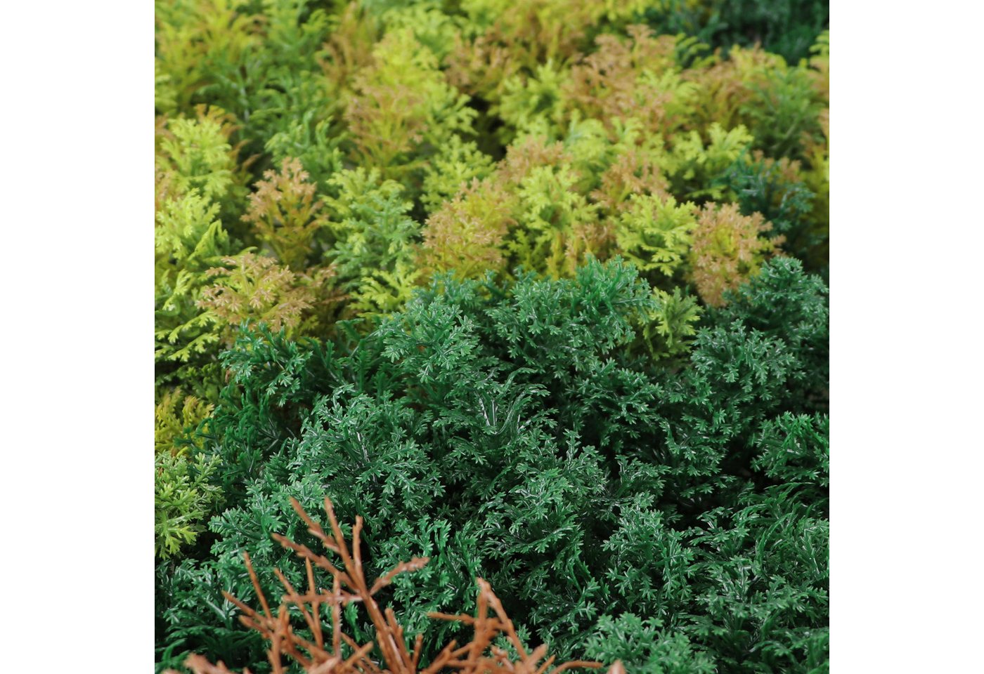 Kunstpflanze Kunstpflanze Pflanzenwand 100x100, Primaflor-Ideen in Textil, Wanddeko, realistische Optik, In- und Outdoor geeignet, UV-beständig Kunstpflanze Kunstpflanze Pflanzenwand 100x100, Primaflor-Ideen in Textil, Wanddeko, realistische Optik, In- und Outdoor geeignet, UV-beständig von Primaflor-Ideen in Textil