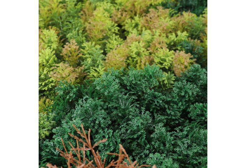 Kunstpflanze Kunstpflanze Pflanzenwand 100x100, Primaflor-Ideen in Textil, Wanddeko, realistische Optik, In- und Outdoor geeignet, UV-beständig Kunstpflanze Kunstpflanze Pflanzenwand 100x100, Primaflor-Ideen in Textil, Wanddeko, realistische Optik, In- und Outdoor geeignet, UV-beständig von Primaflor-Ideen in Textil