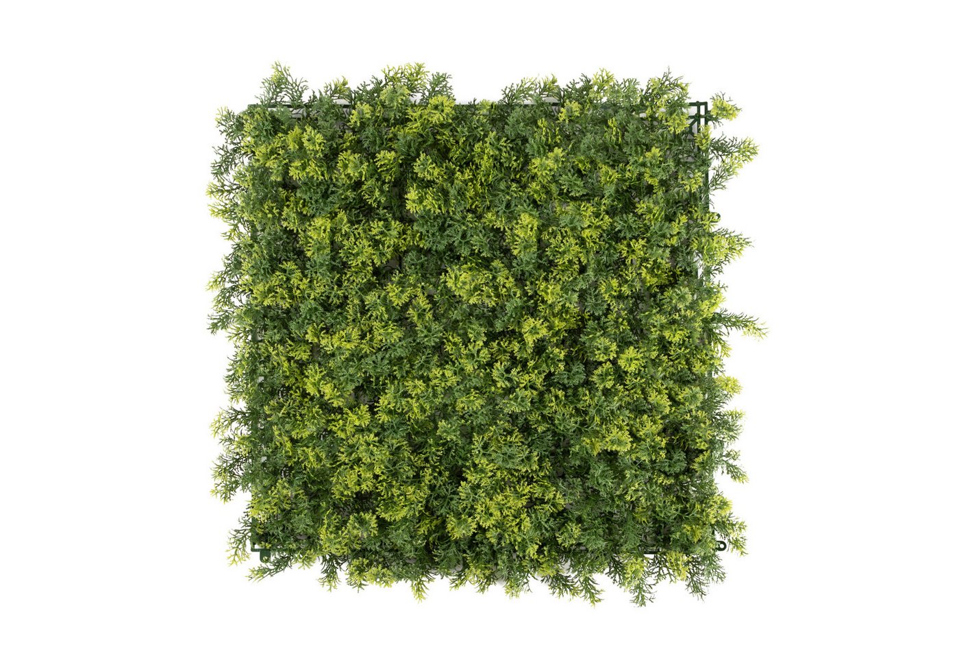 Kunstpflanze Pflanzenwand, 50x50cm Moos oder Ilex, Primaflor-Ideen in Textil, Wanddeko, realistische Optik, In- und Outdoor geeignet, UV-beständig Kunstpflanze Pflanzenwand, 50x50cm Moos oder Ilex, Primaflor-Ideen in Textil, Wanddeko, realistische Optik, In- und Outdoor geeignet, UV-beständig von Primaflor-Ideen in Textil