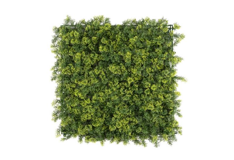 Kunstpflanze Pflanzenwand, 50x50cm Moos oder Ilex, Primaflor-Ideen in Textil, Wanddeko, realistische Optik, In- und Outdoor geeignet, UV-beständig von Primaflor-Ideen in Textil