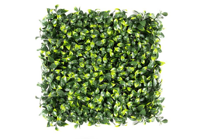 Kunstpflanze Pflanzenwand, 50x50cm Moos oder Ilex, Primaflor-Ideen in Textil, Wanddeko, realistische Optik, In- und Outdoor geeignet, UV-beständig von Primaflor-Ideen in Textil