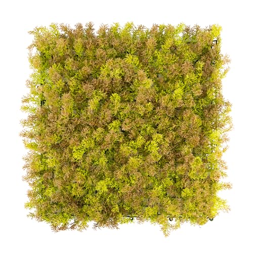 Primaflor - Ideen in Textil Kunstpflanzen-Wand - MOOS Braun, 50 x 50 cm, UV-Stabilisierte künstliche Pflanzenwand. Mooswand zu Wandmontage, Wandpaneele von Primaflor - Ideen in Textil