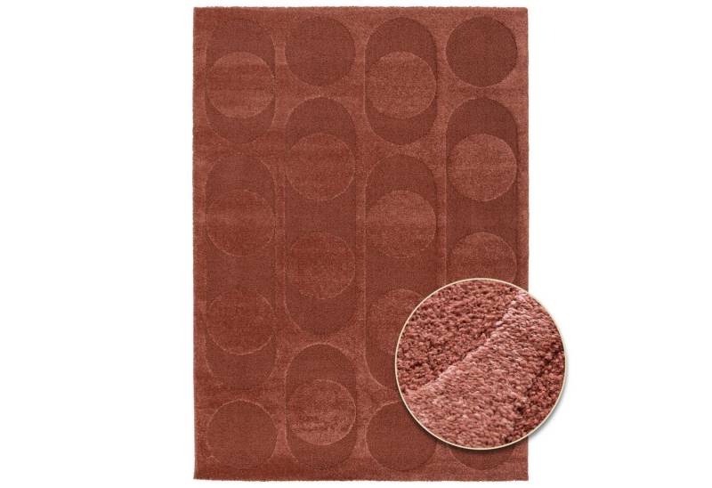 Primaflor-Ideen in Textil Teppich COSMO Point, Made in Belgium, rechteckig, Höhe: 14 mm, modernes Design, Hoch-Tief Effekt, weicher Flor Primaflor-Ideen in Textil Teppich COSMO Point, Made in Belgium, rechteckig, Höhe: 14 mm, modernes Design, Hoch-Tief Effekt, weicher Flor von Primaflor-Ideen in Textil