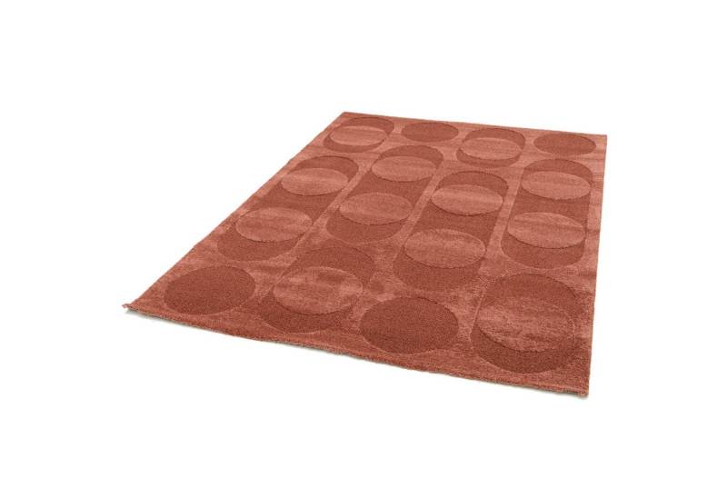 Primaflor-Ideen in Textil Teppich COSMO Point, Made in Belgium, rechteckig, Höhe: 14 mm, modernes Design, Hoch-Tief Effekt, weicher Flor Primaflor-Ideen in Textil Teppich COSMO Point, Made in Belgium, rechteckig, Höhe: 14 mm, modernes Design, Hoch-Tief Effekt, weicher Flor von Primaflor-Ideen in Textil