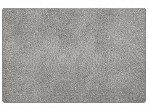 Primaflor Kurzflor Wohnzimmerteppich - Mumbai, Silber, 120x170 cm, Viele Größen und Farben, Moderner Teppich für Kinderzimmer, Arbeits- und Schlafzimmer, Fußbodenheizung geeigneter Teppichläufer von Primaflor - Ideen in Textil