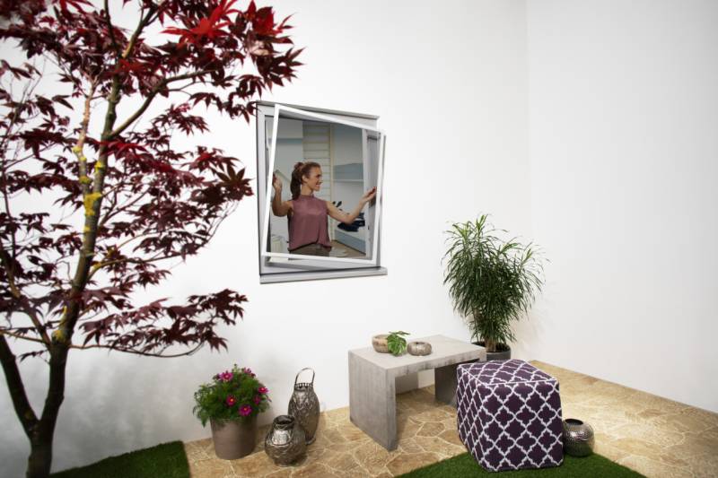 Primaster Fliegenschutz-Fenster 100 x 120 cm anthrazit von Primaster
