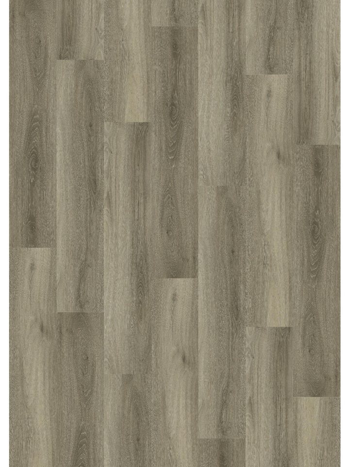 Primaster Vinylboden Primaster Vinylboden Silent Eiche Ambiente mit Primaster Vinylboden Primaster Vinylboden Silent Eiche Ambiente mit von Primaster
