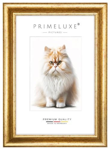PrimeLuxe Barock Bilderrahmen nach Maß 33 x 45 cm in Bordeaux Gold | Größe wählbar | mit entspiegeltem Acrylglas | Rahmen für Poster | Puzzle | Foto collage PrimeLuxe Barock Bilderrahmen nach Maß 33 x 45 cm in Bordeaux Gold | Größe wählbar | mit entspiegeltem Acrylglas | Rahmen für Poster | Puzzle | Foto collage von PrimeLuxe
