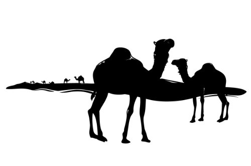 PrimeStick Wandtattoo Wandaufkleber Afrika Wüste Kamele #84a braun 135x 60 cm von PrimeStick