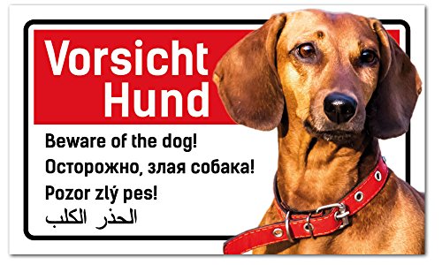 Vorsicht Hund Schild 5-sprachig 25x15cm Dackel -Dachshund - Teckle von PrimeStick