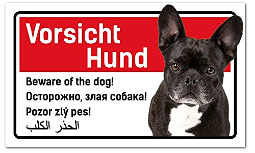Vorsicht Hund Schild 5-sprachig 25x15cm Französische Bulldogge/Bully von PrimeStick