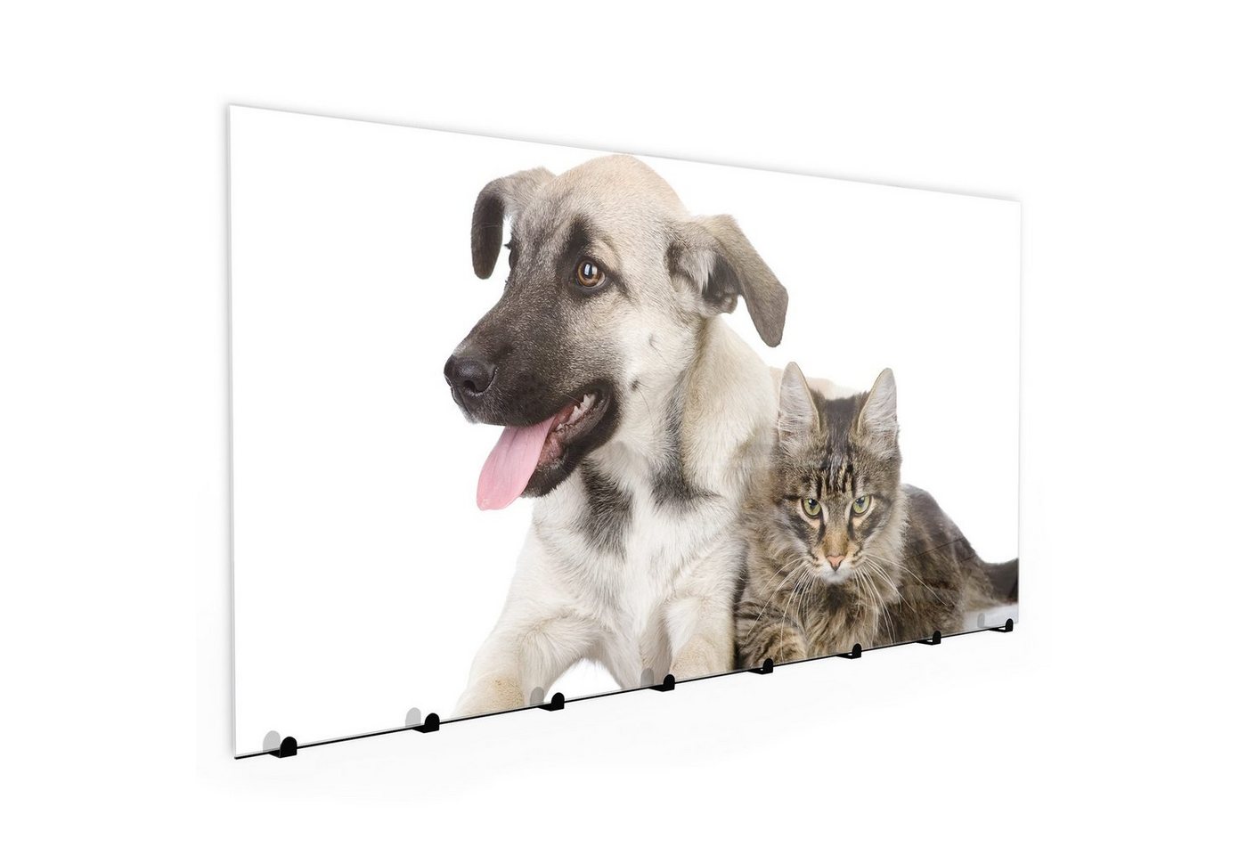 Primedeco Garderobenpaneel Magnetwand und Memoboard aus Glas Hund und Katze liegend von Primedeco