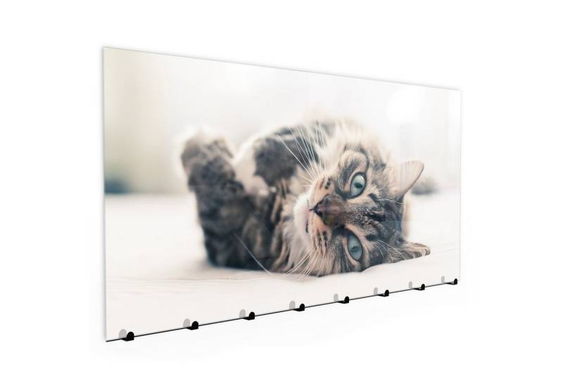 Primedeco Garderobenpaneel Magnetwand und Memoboard aus Glas Katze auf Bett von Primedeco