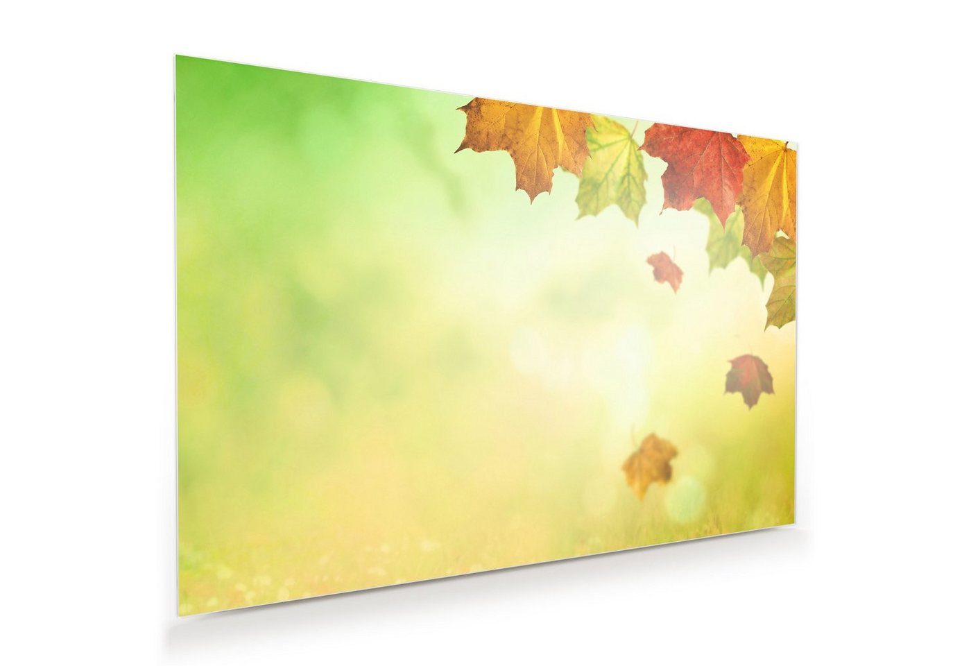 Primedeco Glasbild Wandbild Blätter im Sonnenlicht mit Aufhängung, Natur von Primedeco