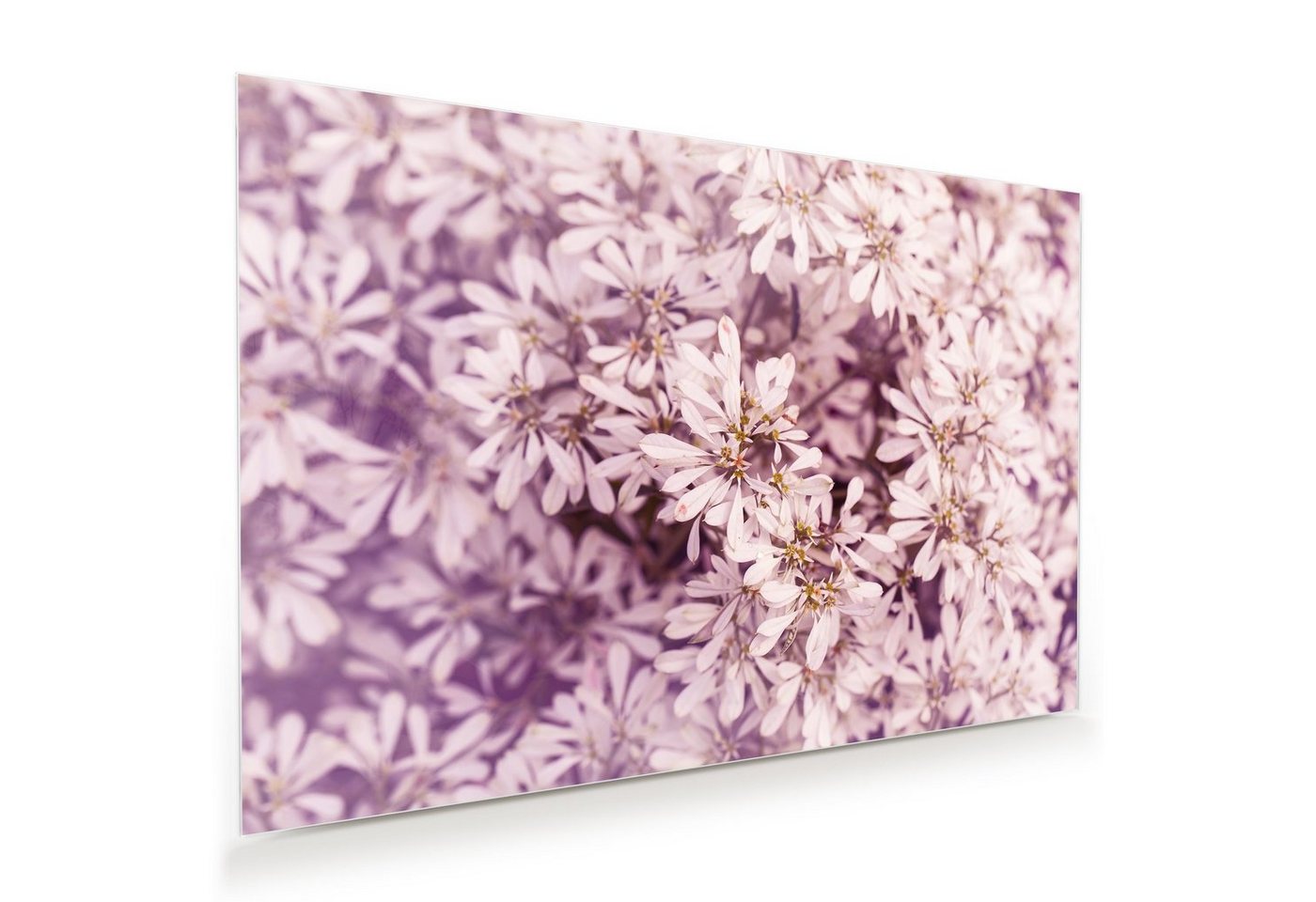 Primedeco Glasbild Wandbild Blumen im VintageStiel mit Aufhängung, Blumen von Primedeco