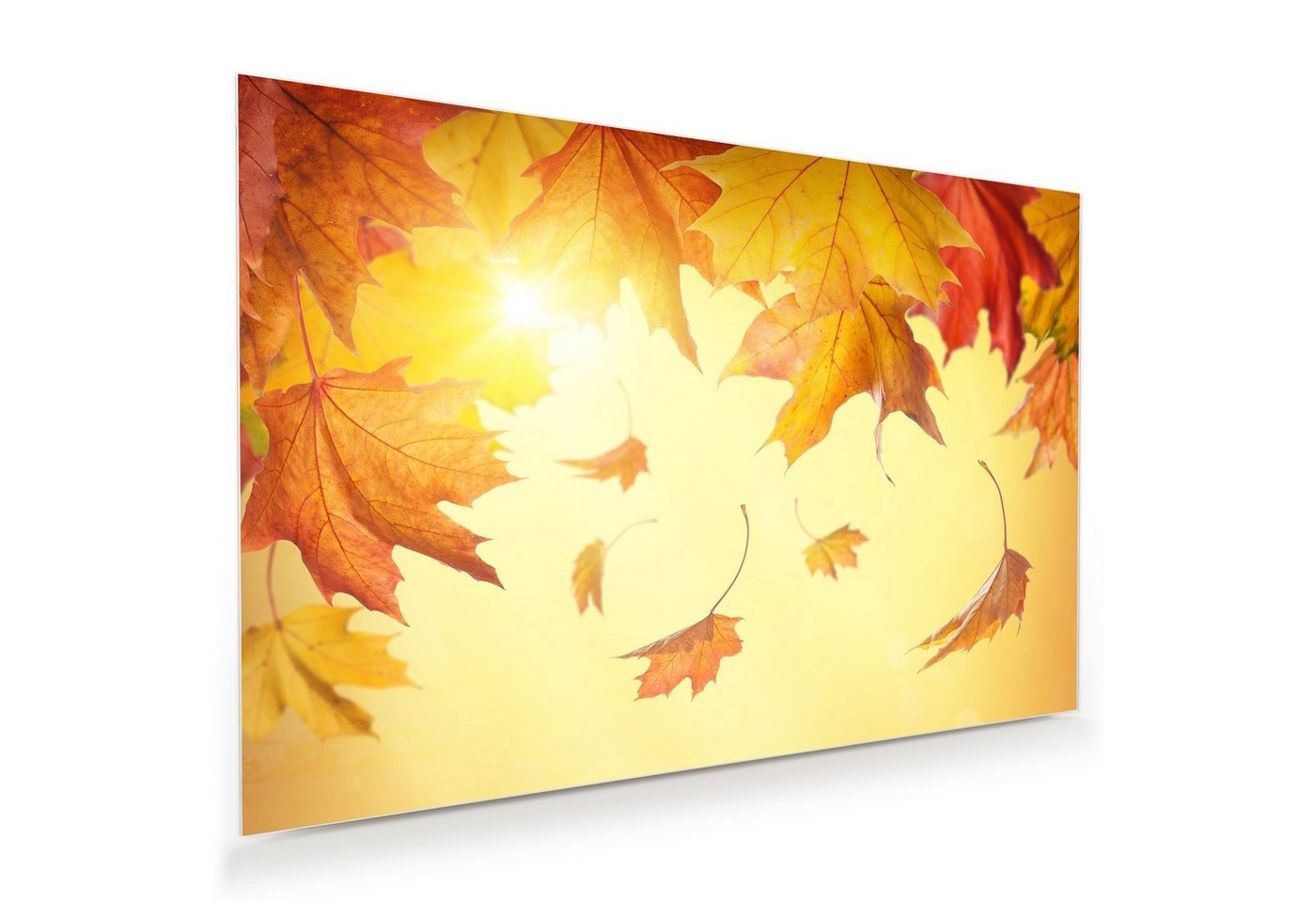 Primedeco Glasbild Wandbild Fallende Blätter im Herbst mit Aufhängung, Blumen von Primedeco