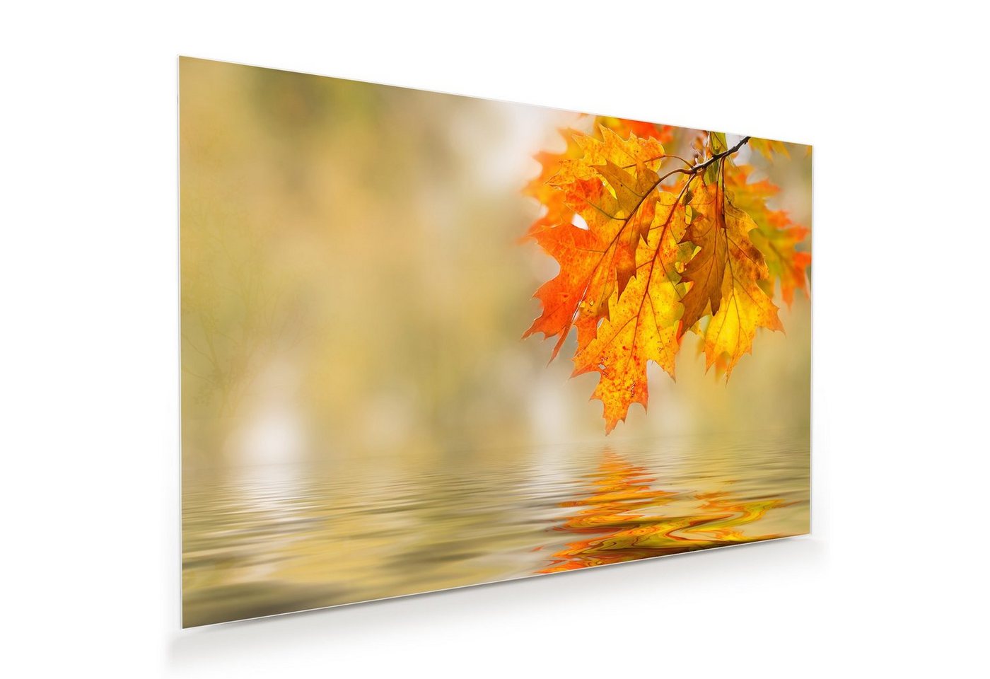 Primedeco Glasbild Wandbild Herbstast am Wasser mit Aufhängung, Natur von Primedeco