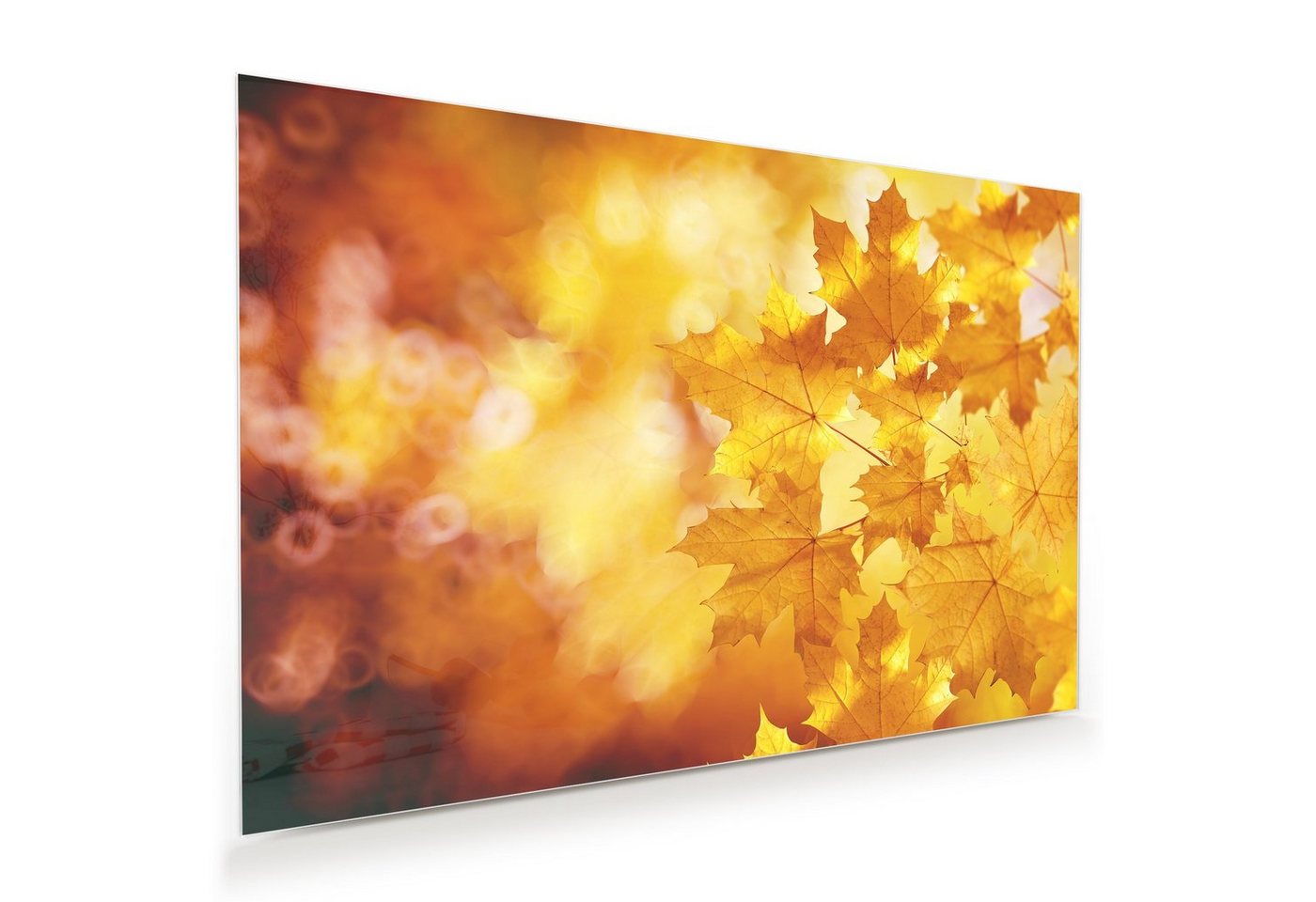 Primedeco Glasbild Wandbild Herbstblätter mit Aufhängung, Natur von Primedeco