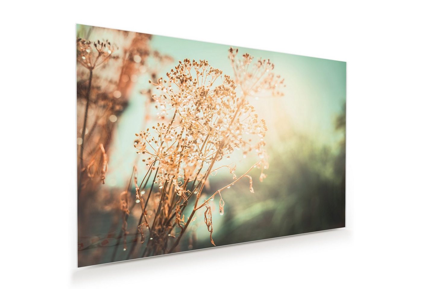 Primedeco Glasbild Wandbild Herbstlicher Sonnenuntergang mit Aufhängung, Blumen von Primedeco