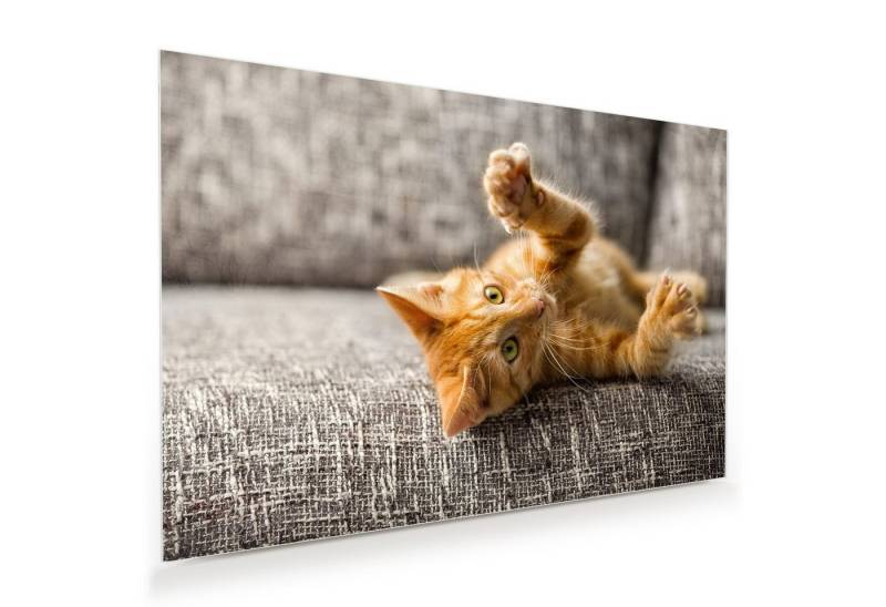 Primedeco Glasbild Wandbild Katze spielt auf Bett mit Aufhängung, Tiere von Primedeco