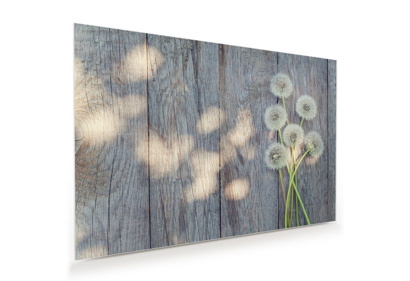 Primedeco Glasbild Wandbild Löwenzahnblüten auf Tisch mit Aufhängung, Blumen von Primedeco