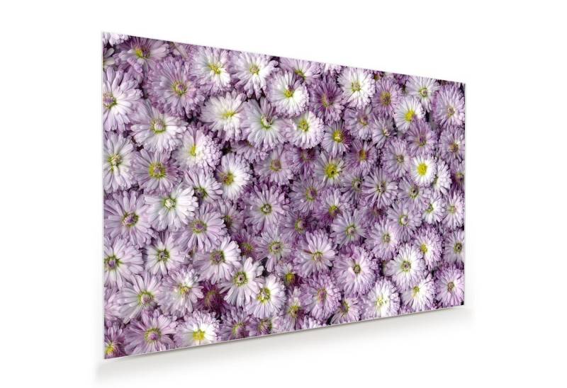 Primedeco Glasbild Wandbild Magentameer mit Aufhängung, Blumen von Primedeco