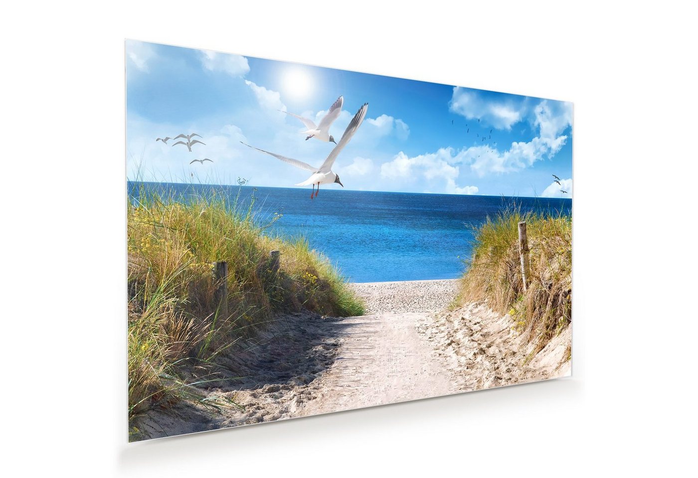 Primedeco Glasbild Wandbild Möwen am Meer mit Aufhängung, Natur von Primedeco