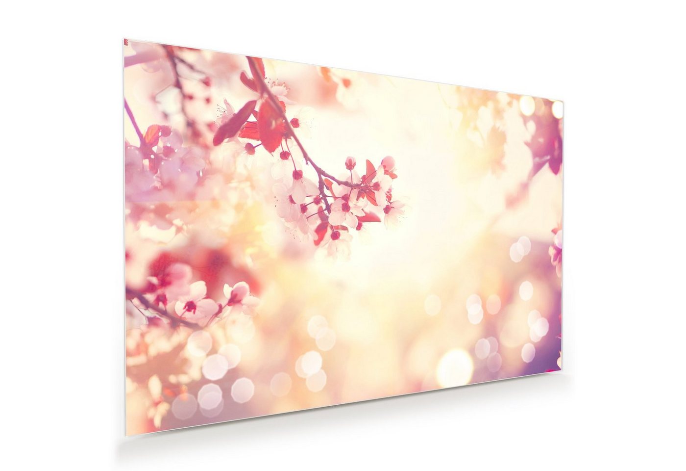 Primedeco Glasbild Wandbild Natur Szene im Frühling mit Aufhängung, Blumen von Primedeco