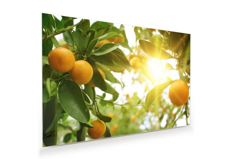 Primedeco Glasbild Wandbild Orangenbaum mit Aufhängung, Früchte von Primedeco