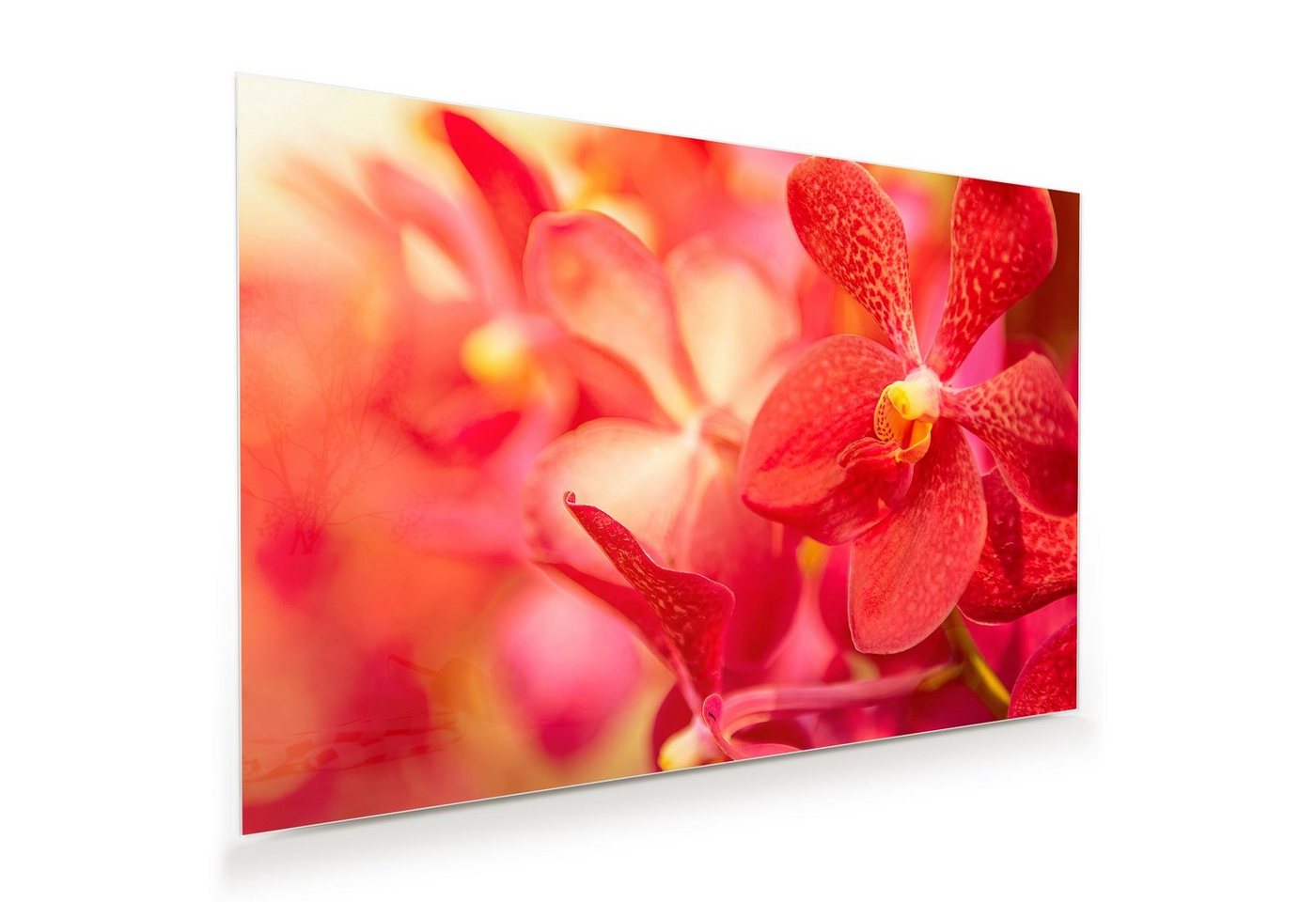 Primedeco Glasbild Wandbild Orchideen mit Aufhängung, Blumen von Primedeco