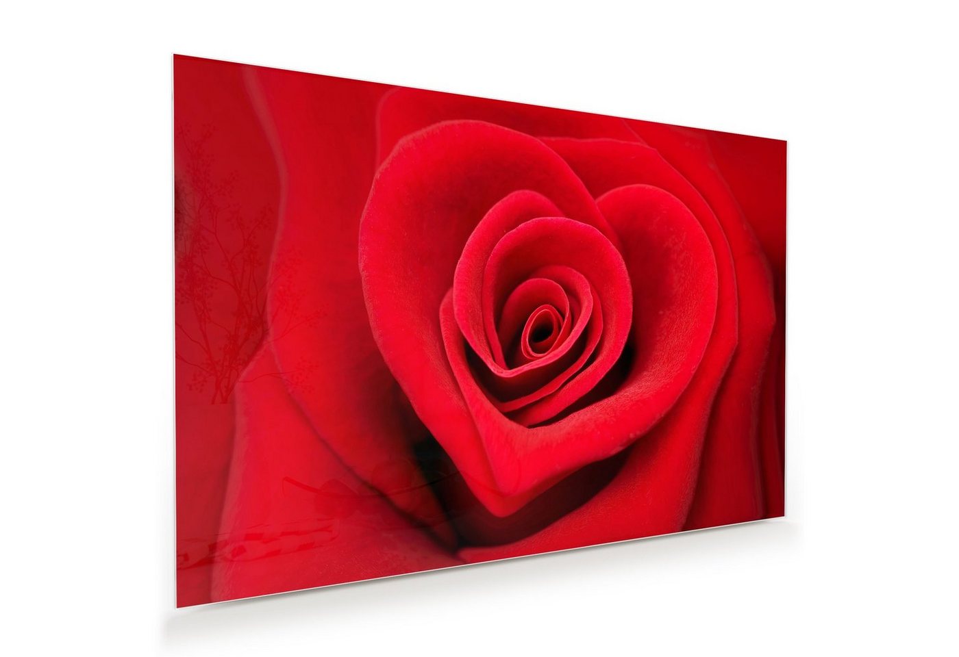 Primedeco Glasbild Wandbild Rose in Form eines Herz mit Aufhängung, Blumen von Primedeco