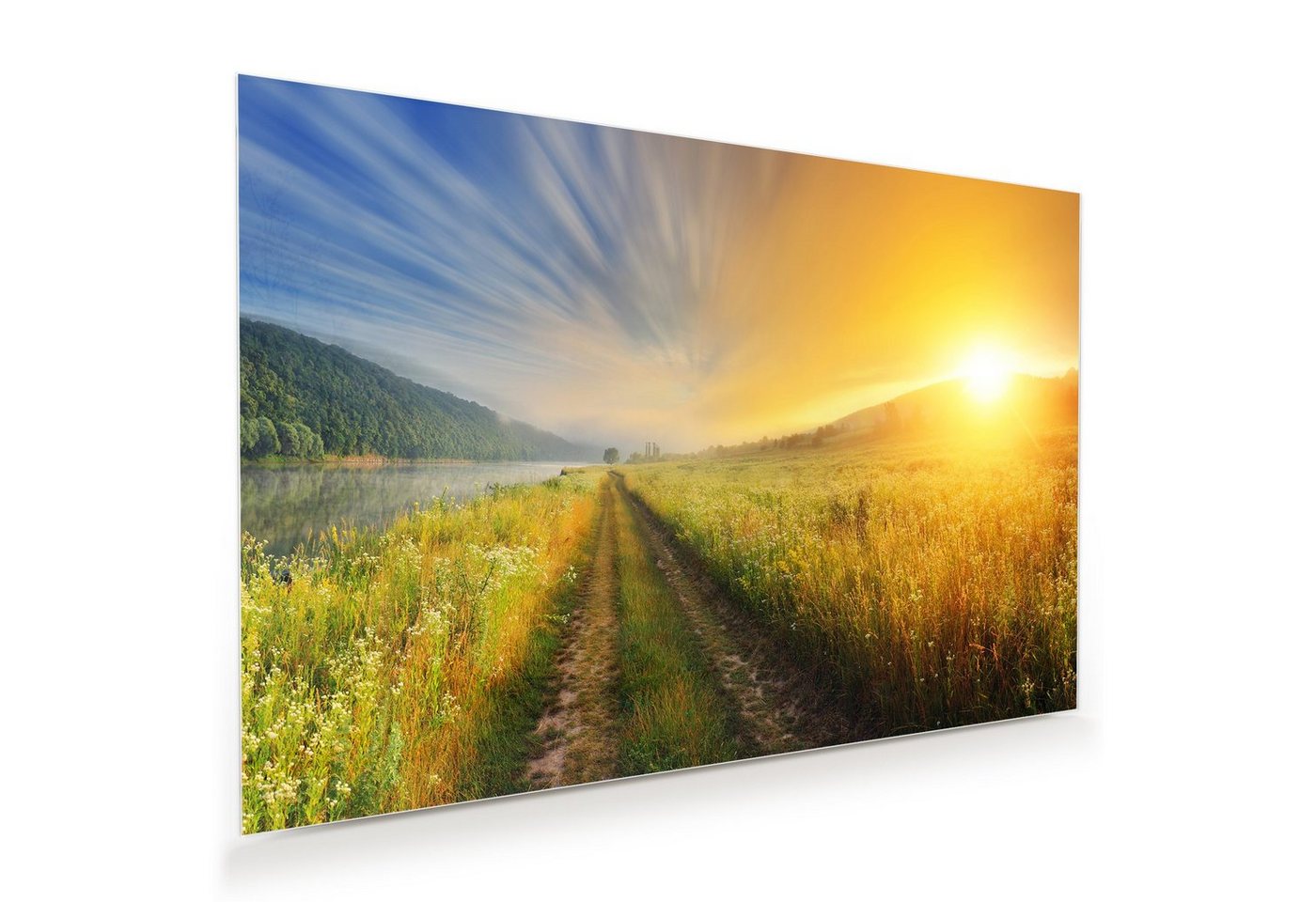 Primedeco Glasbild Wandbild Sonnenaufgang im Frühling mit Aufhängung, Natur von Primedeco