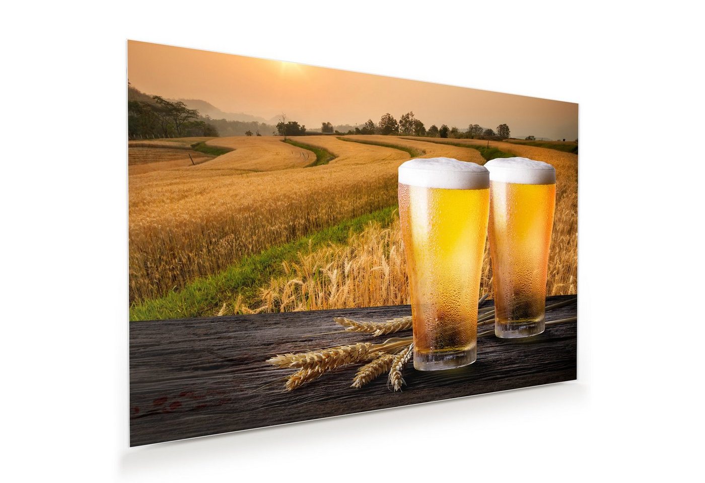 Primedeco Glasbild Wandbild Zwei Biergläser vor Gersten mit Aufhängung, Getränke von Primedeco