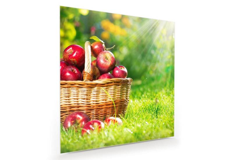 Primedeco Glasbild Wandbild Quadratisch Äpfel auf Wiese mit Aufhängung, Früchte von Primedeco