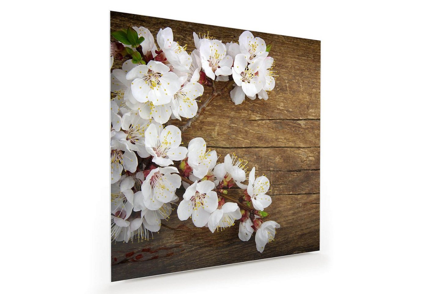 Primedeco Glasbild Wandbild Quadratisch Blüten auf Holztisch mit Aufhängung, Blumen von Primedeco