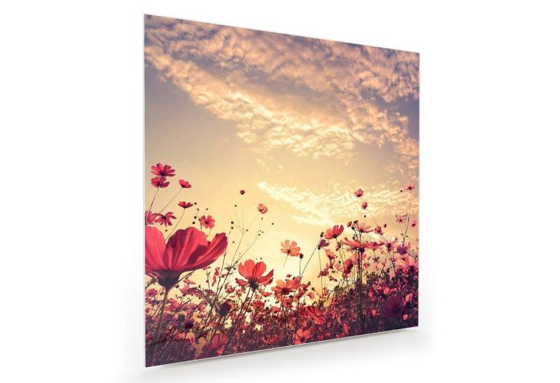 Primedeco Glasbild Wandbild Quadratisch Blütenmeer im Sonnenschein mit Aufhängung, Natur von Primedeco